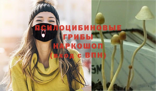 ALPHA PVP Краснотурьинск