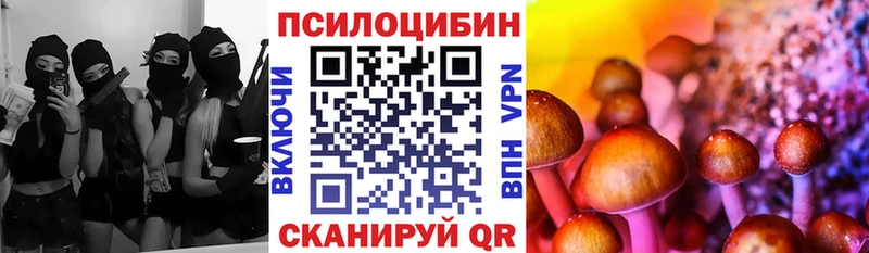 Купить  Ясный  Псилоцибиновые грибы Cubensis 