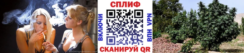 Купить  Ясный  Бошки марихуана ГИДРОПОН 